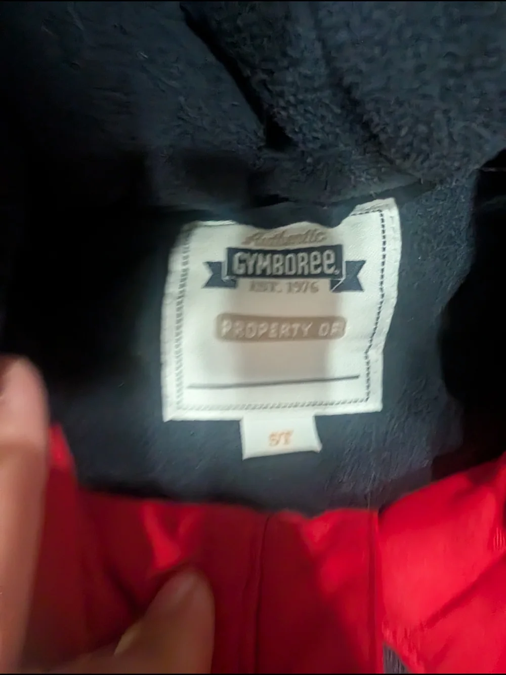 Gymboree cozy hooded